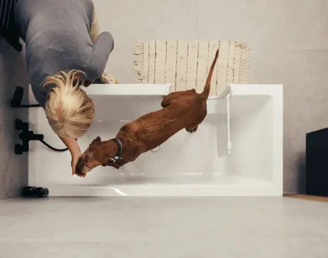 Dvířka do vany pro vaše domácí mazlíčky